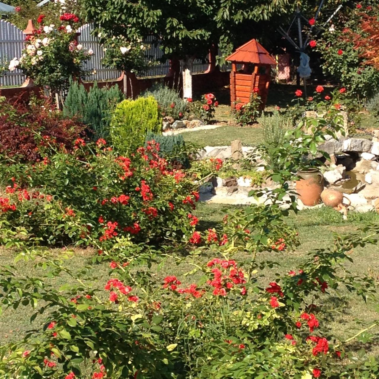 Guest House Rose Smederevska Palanka Buitenkant foto